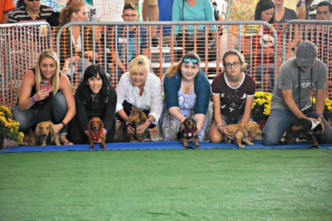 Dachtoberfest
